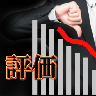 �d���̕]����������