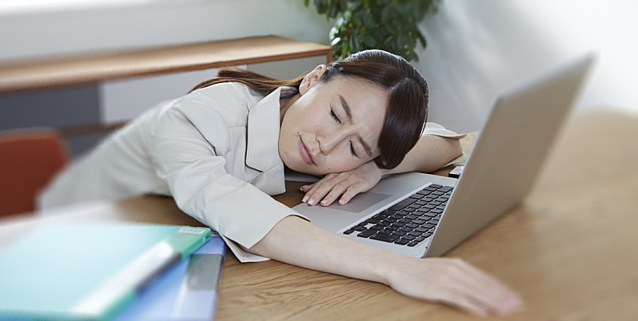 ���ŋ���������鏗��